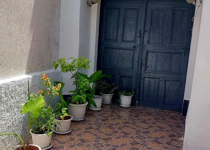 公寓 Flowers 培拉特