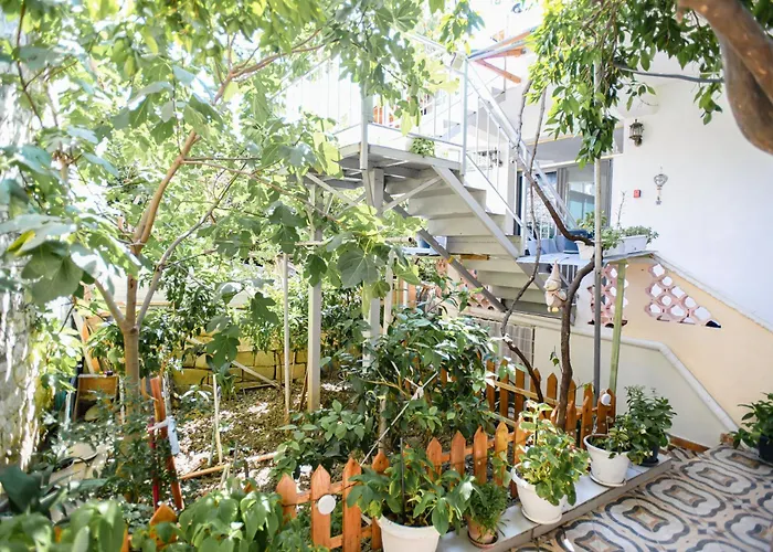 아파트 Flowers