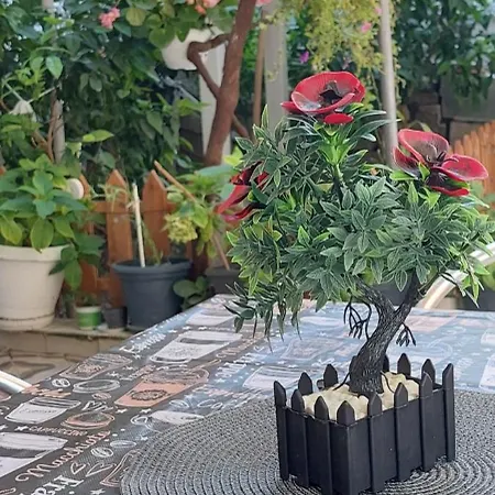 Flowers Apartment
