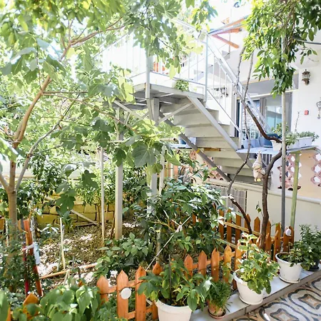 Apartment Flowers